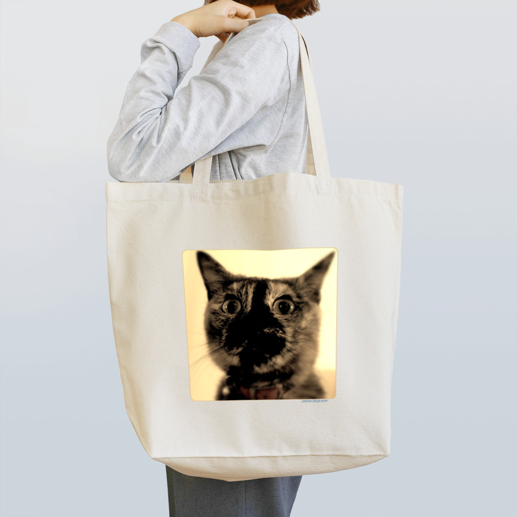 空手ポ⊿46の錆猫 Tote Bag