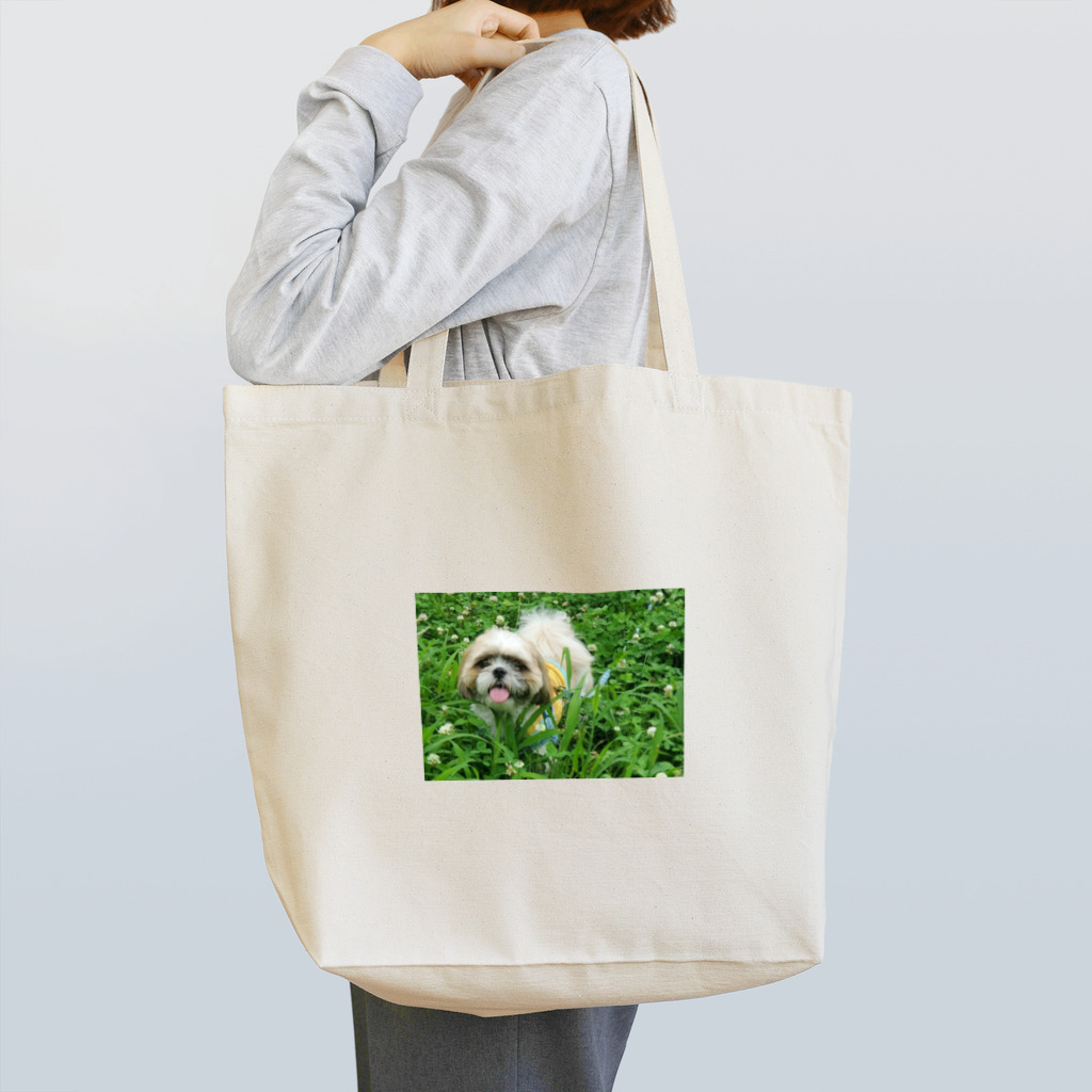 こがちゃんの草原のレオくん Tote Bag