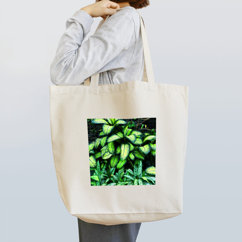 kikuyan8540の癒しの観葉植物 Tote Bag