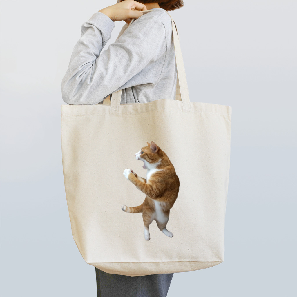 クウちゃんとカイちゃん家のクウちゃん_よっしゃー！ Tote Bag