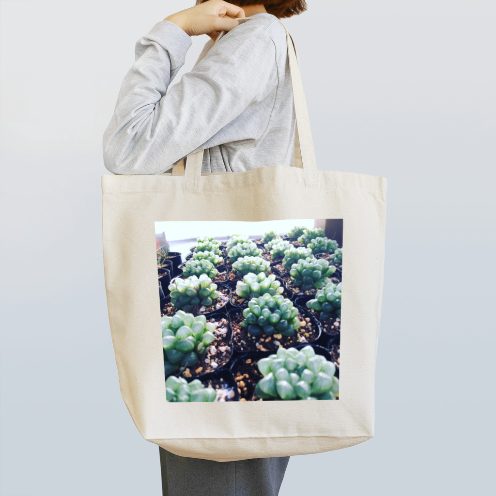 PalmHealingのオブツーサ Tote Bag