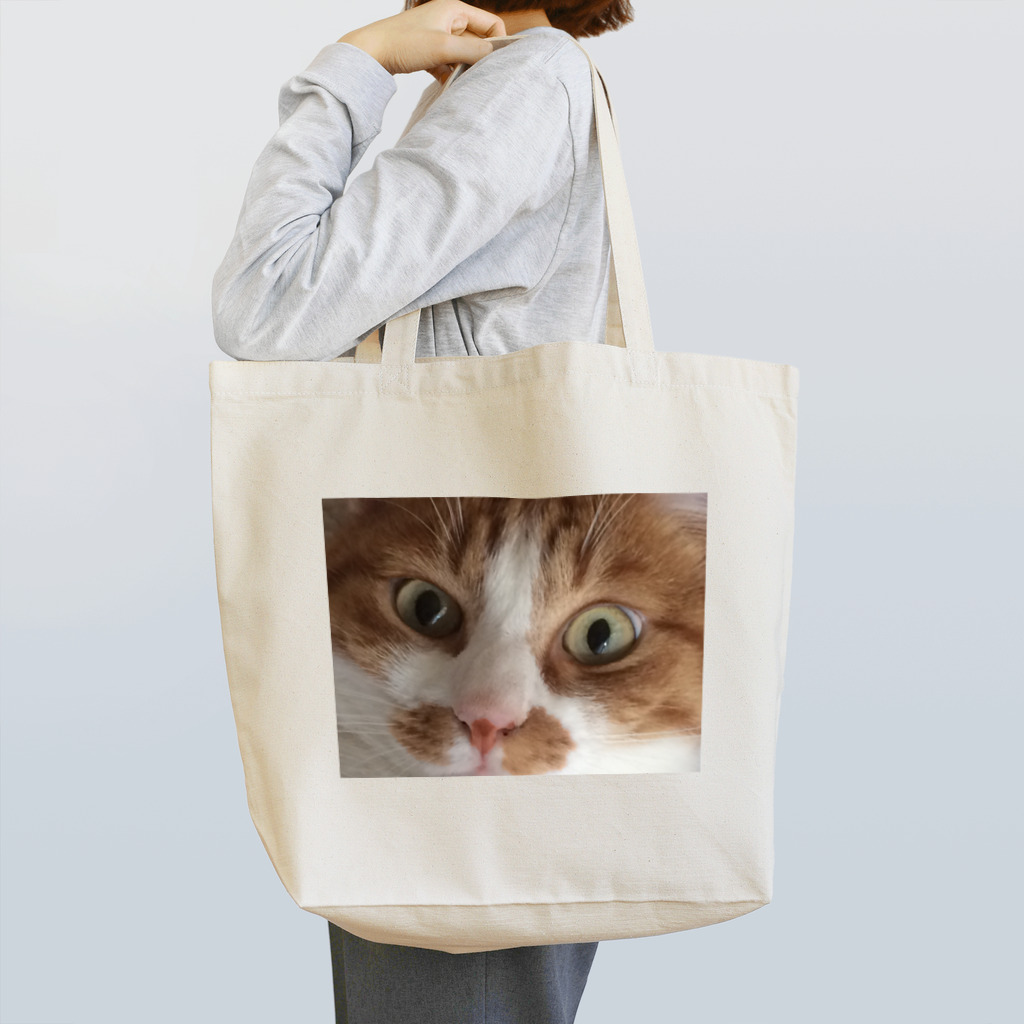 海央(池田氏)のねこのめ Tote Bag