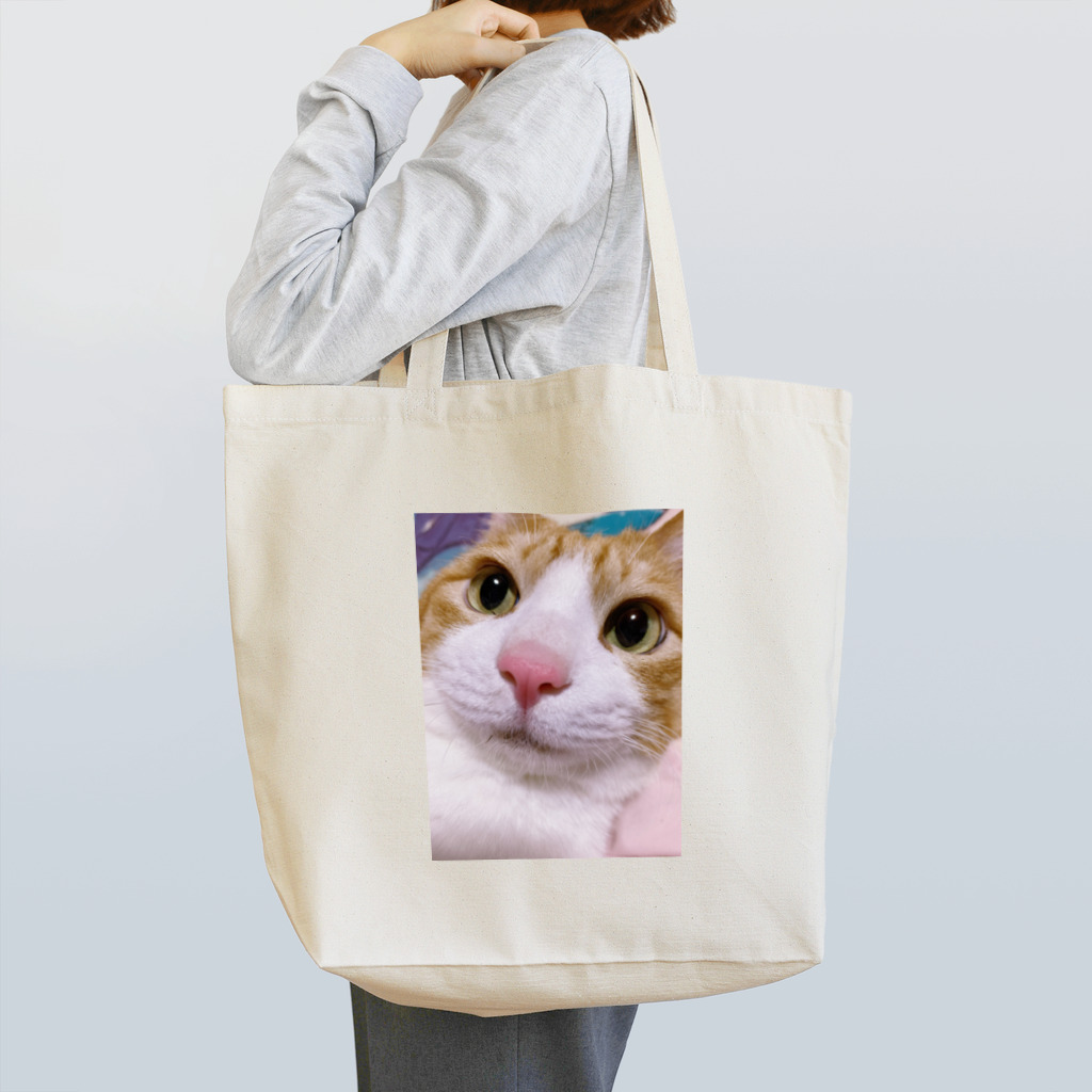 昭和～平成～令和系のりさぴん@の保護猫 セサミくん Tote Bag