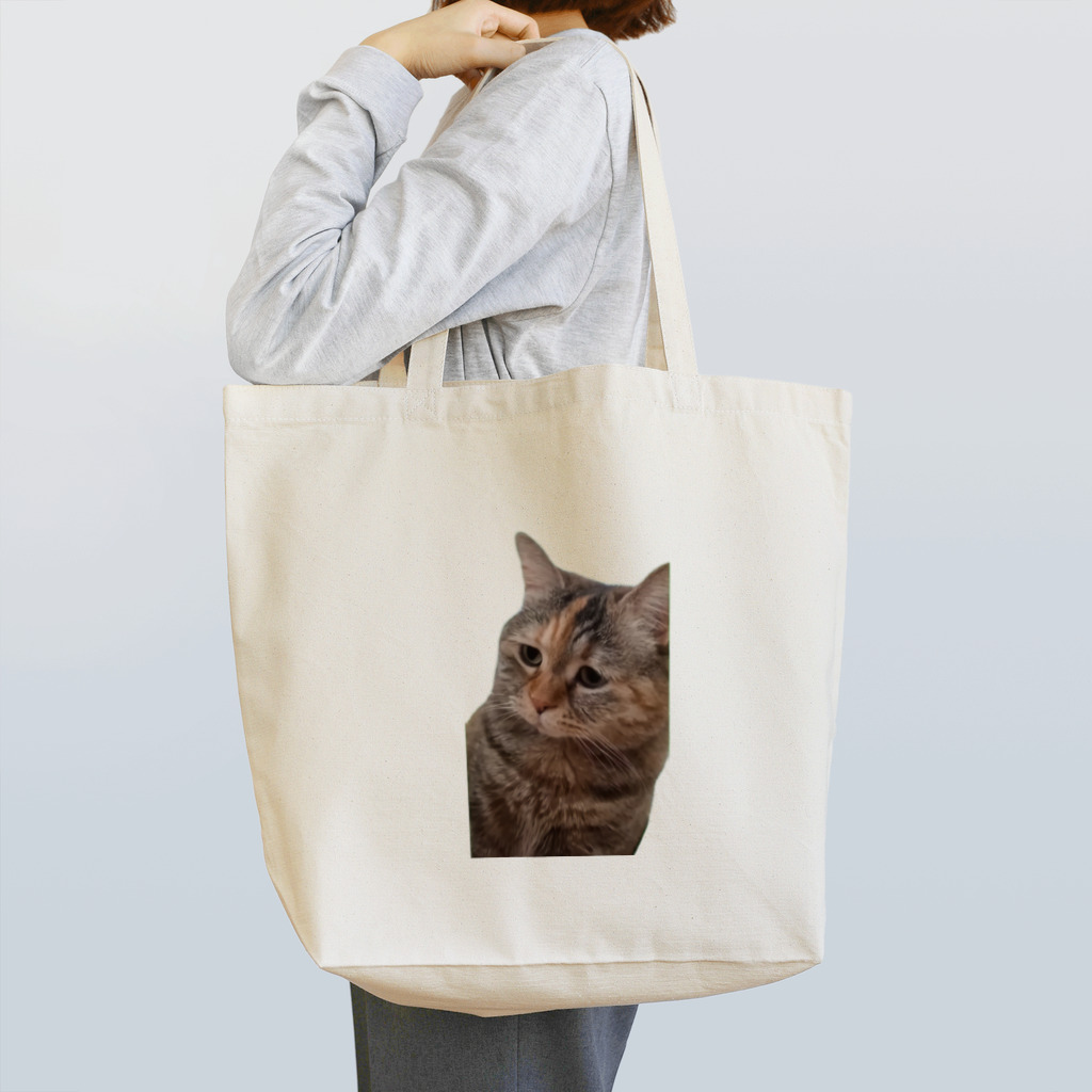 猫ミームグッズの【猫ミーム】叱られる猫 トートバッグ