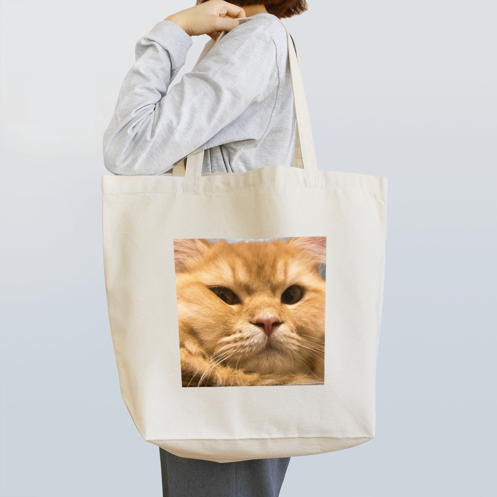 ビスコのうちのねこ Tote Bag