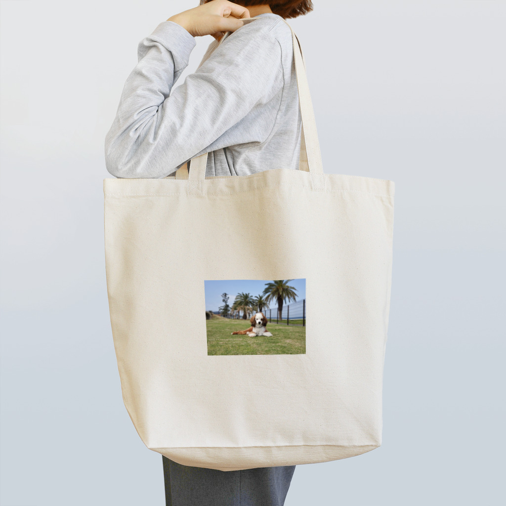 catとdogの視線の向こうに Tote Bag