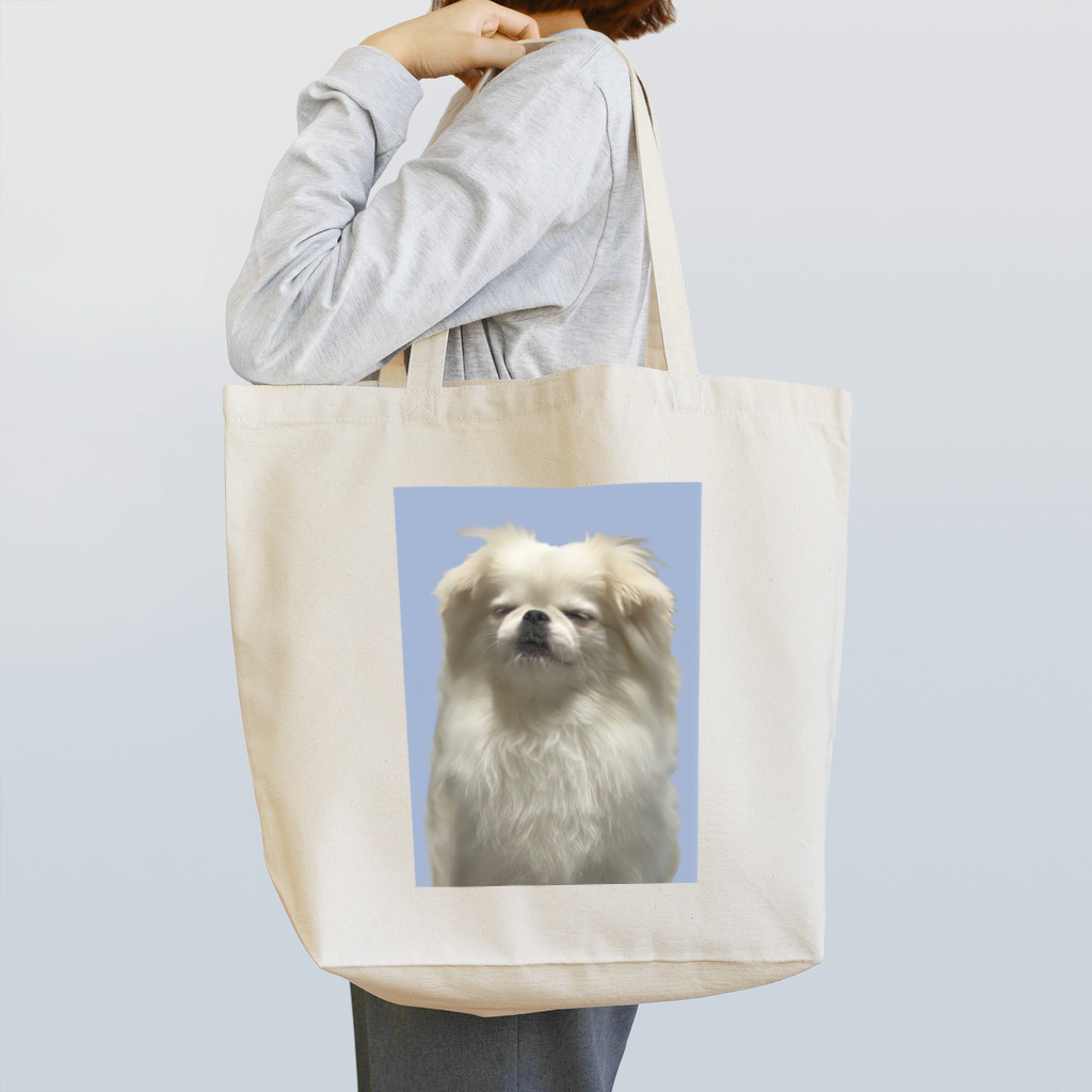 256のpepo Tote Bag