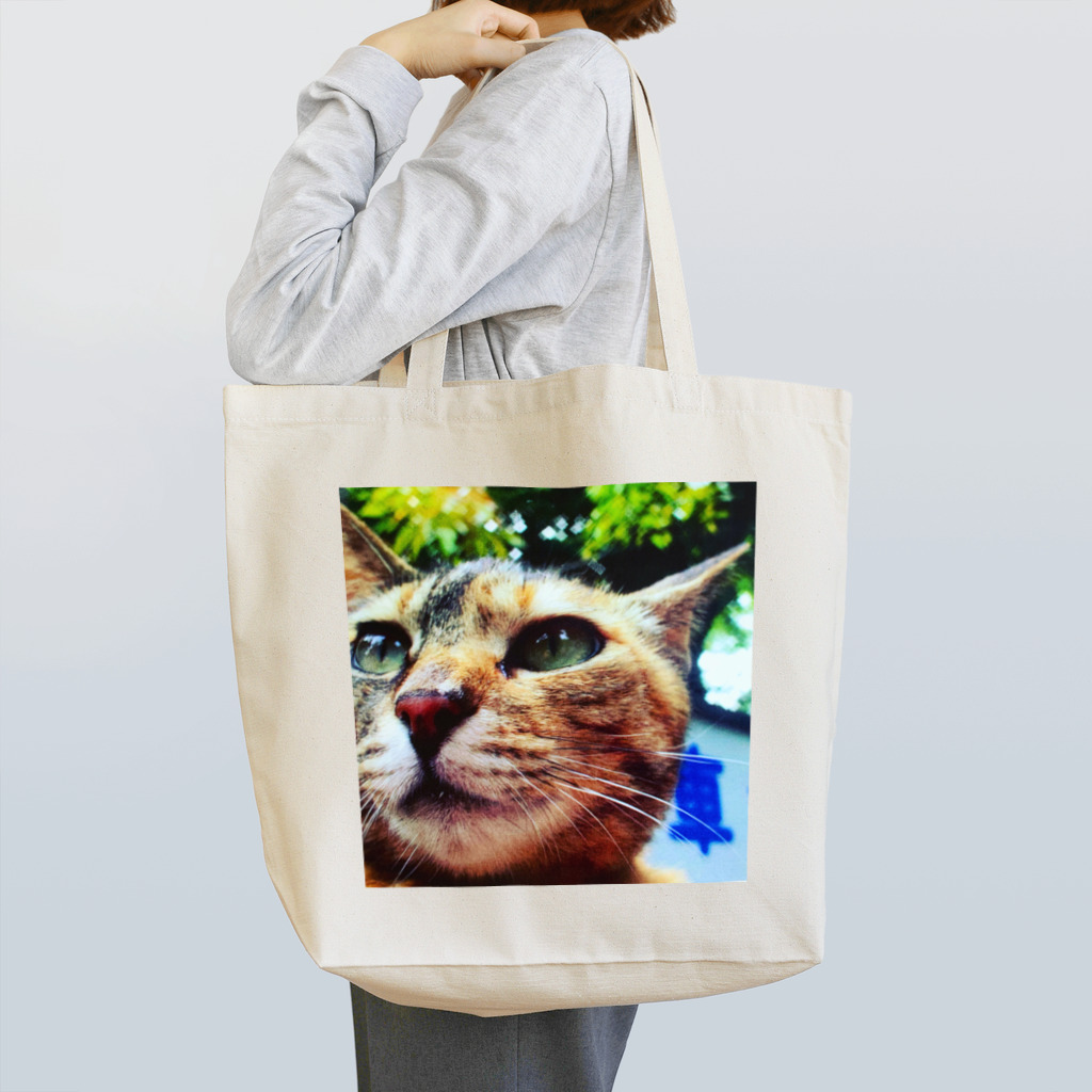 電気羊研究所science&GAMEの公園猫　 Tote Bag