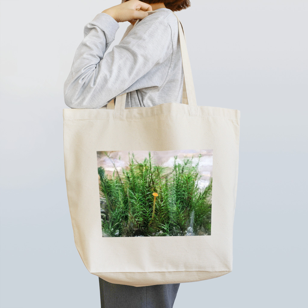 アトリエWindwingのキノコと苔テラリウム Tote Bag