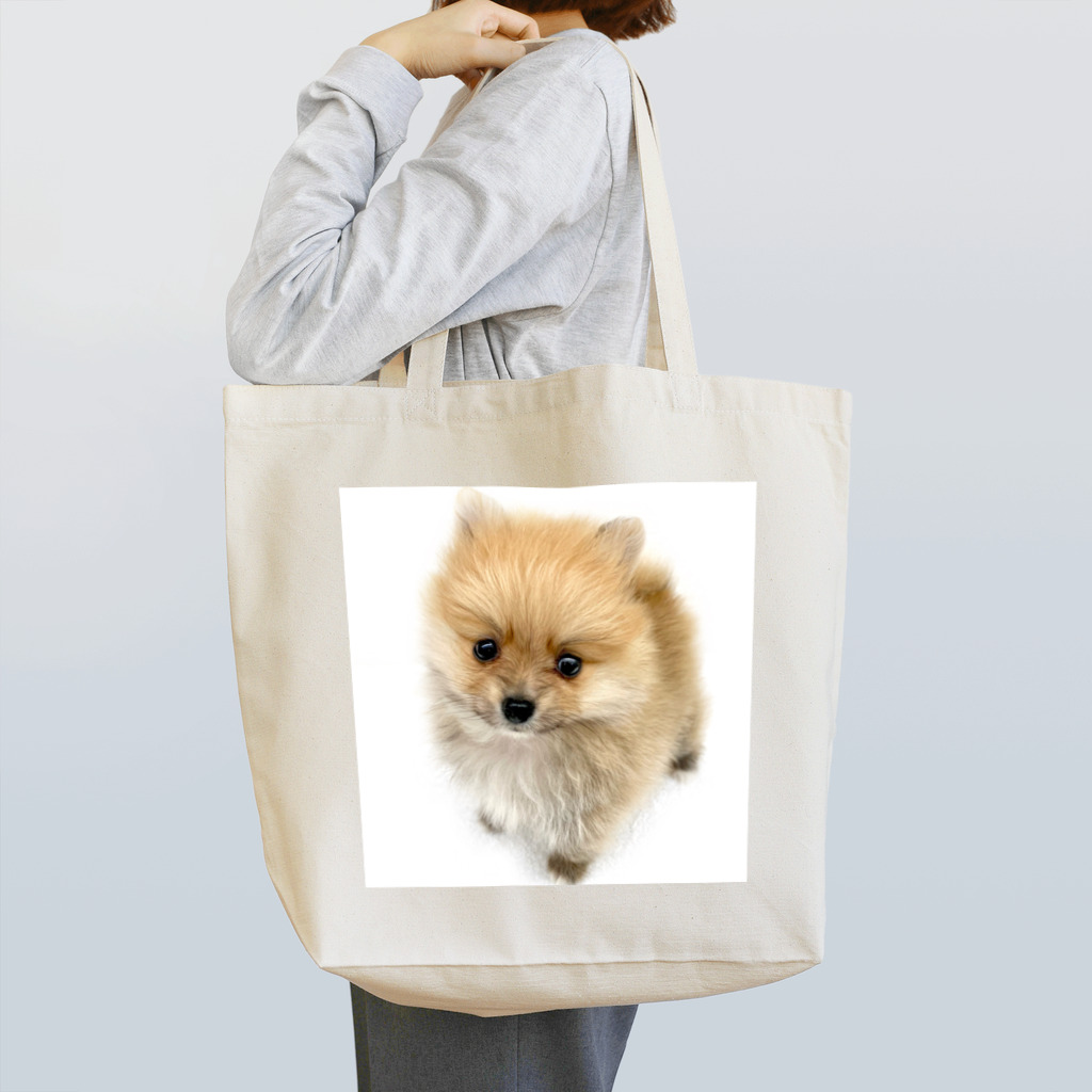 きつねポメラニアンらにのらにちゃん Tote Bag