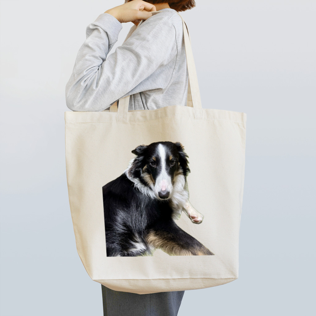 いえしきのみせのあざらしみつば Tote Bag