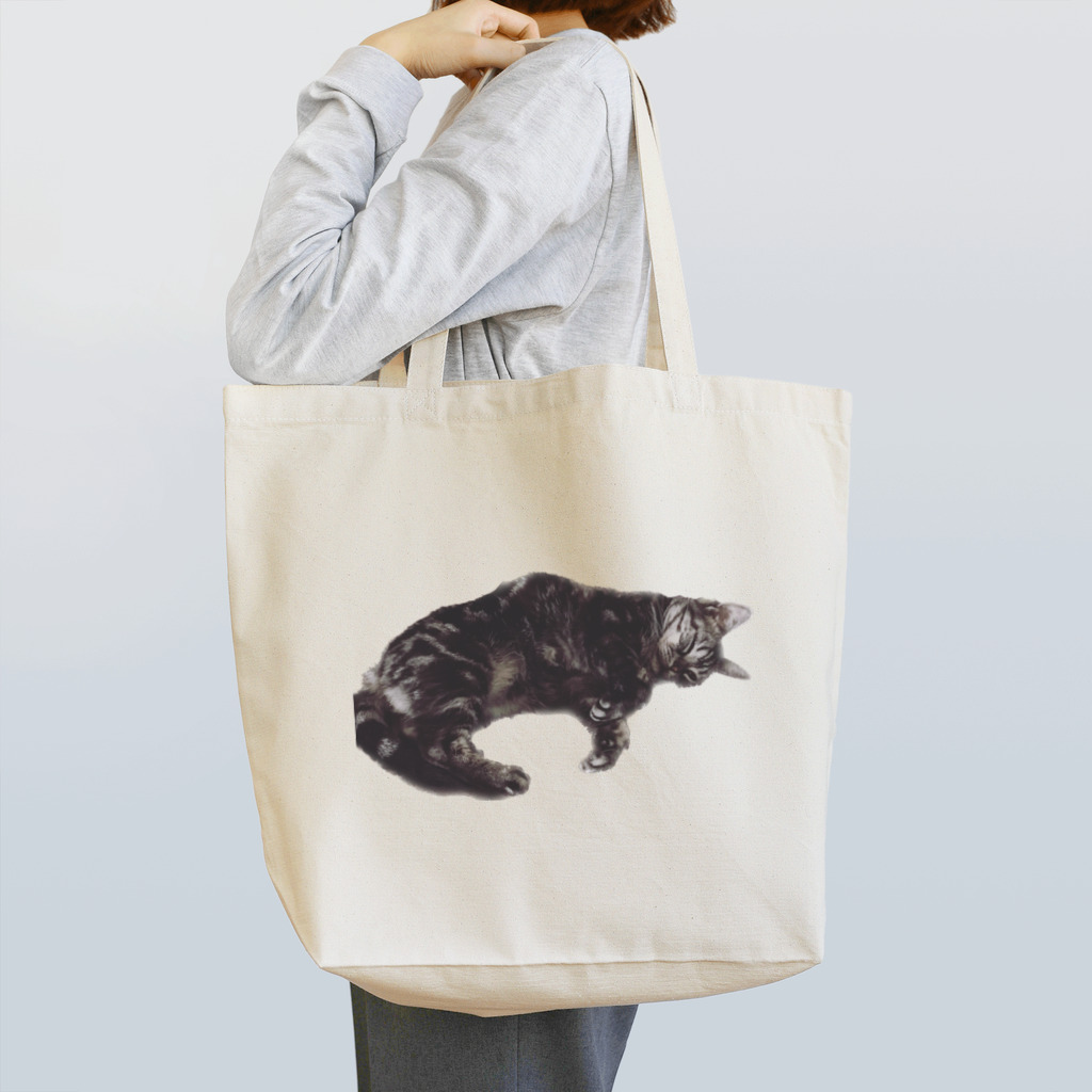 アメショーのひめちゃんのアメショーのひめちゃん④ Tote Bag