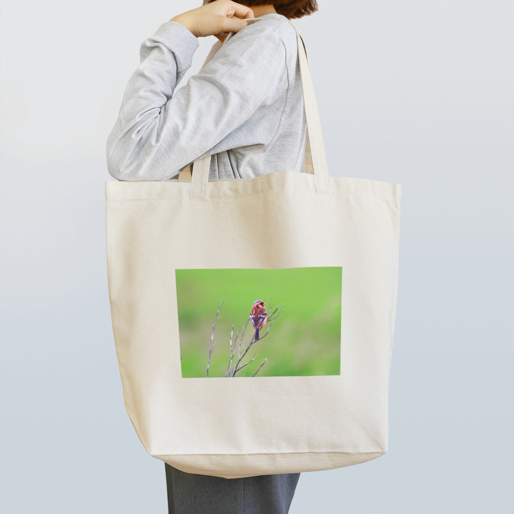 野鳥と犬の竃蔵屋(かまくらや)のベニマシコ。野鳥。 Tote Bag