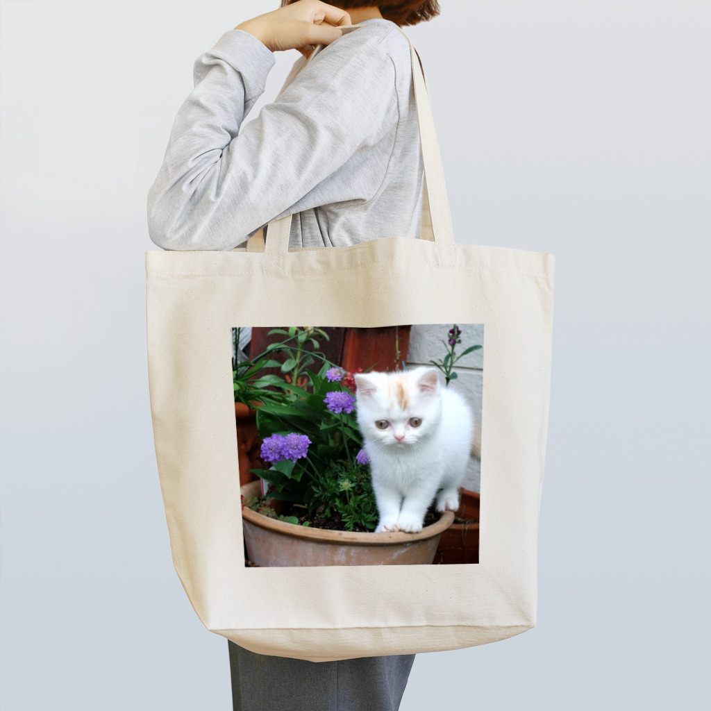 Takoyanの天使の子猫ちゃん Tote Bag
