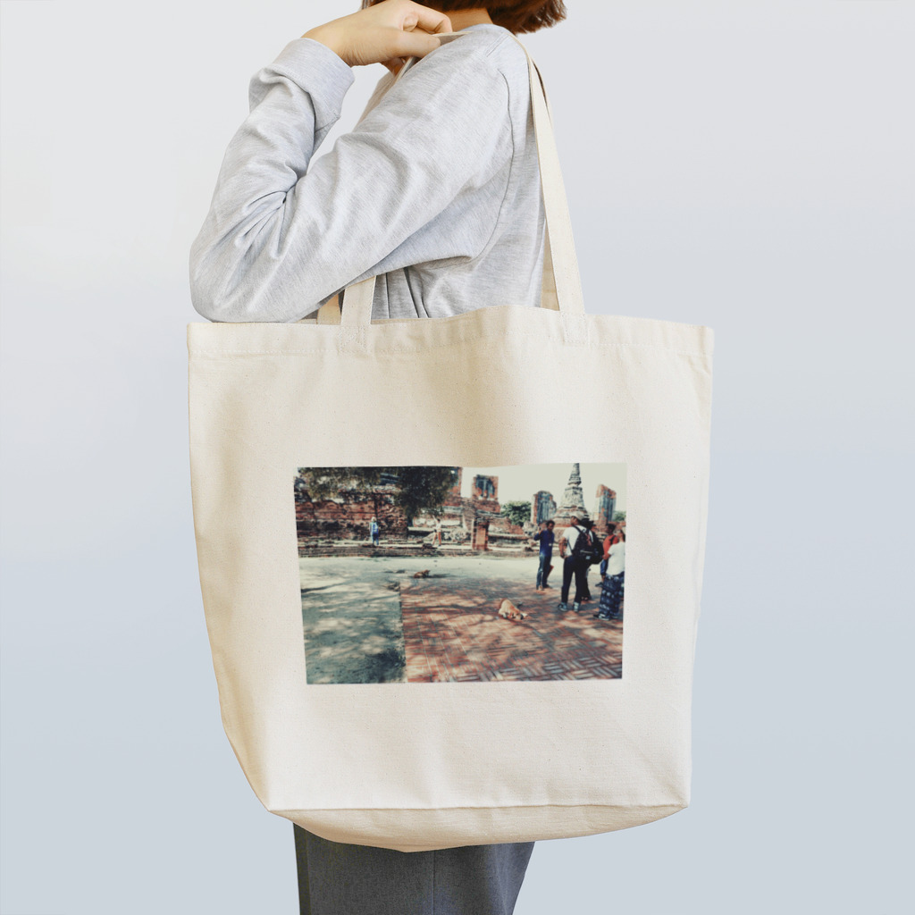 やくしんじ しんじの世界のノラ犬さんたち。（観光客に交じるえでぃしょん） Tote Bag