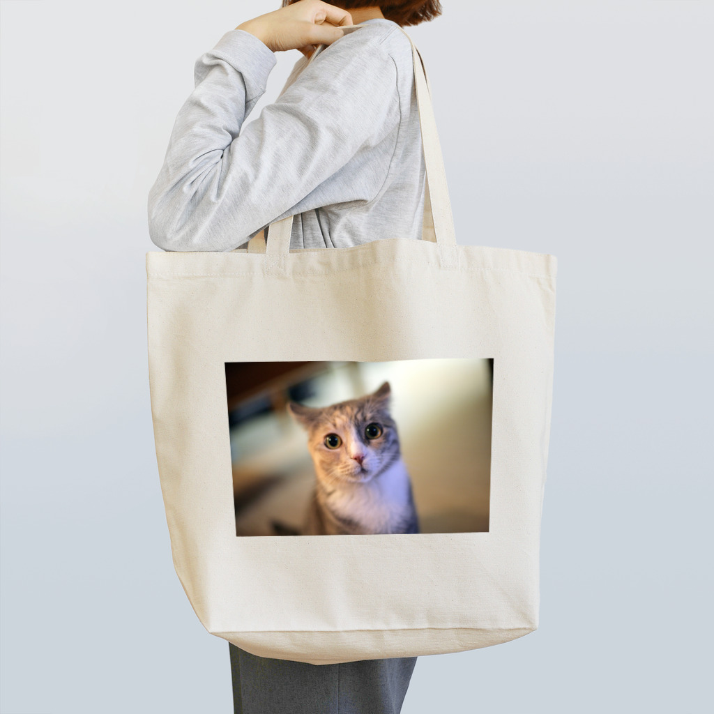職安太郎の見つめるネコ Tote Bag