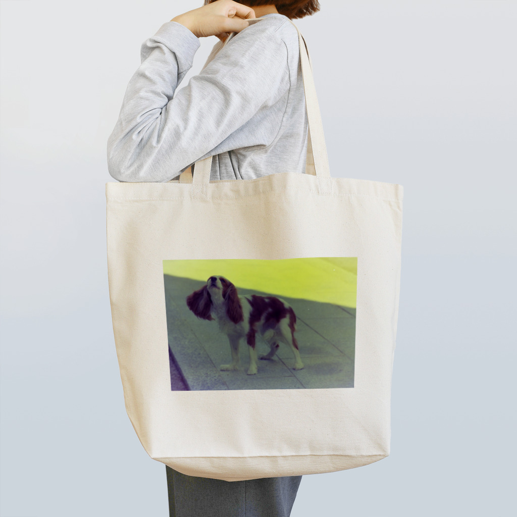 Robin_Hiroshimaの西条のお寺で出会ったワンコさん Tote Bag