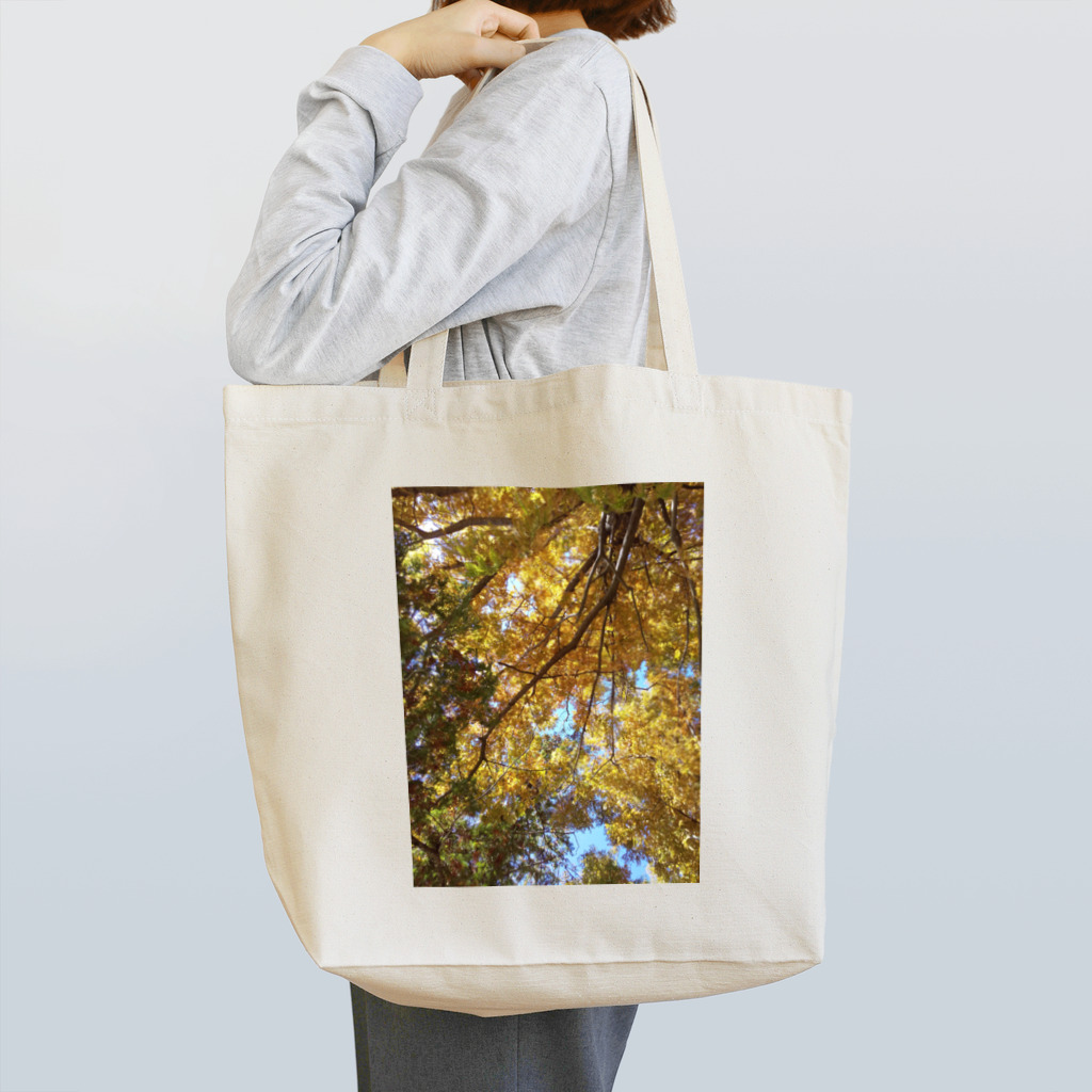 福猫山小屋の美しい木々 Tote Bag