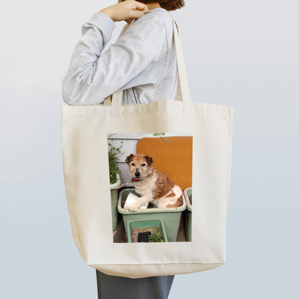 蟾ｪ(ともえ)のテリー Tote Bag