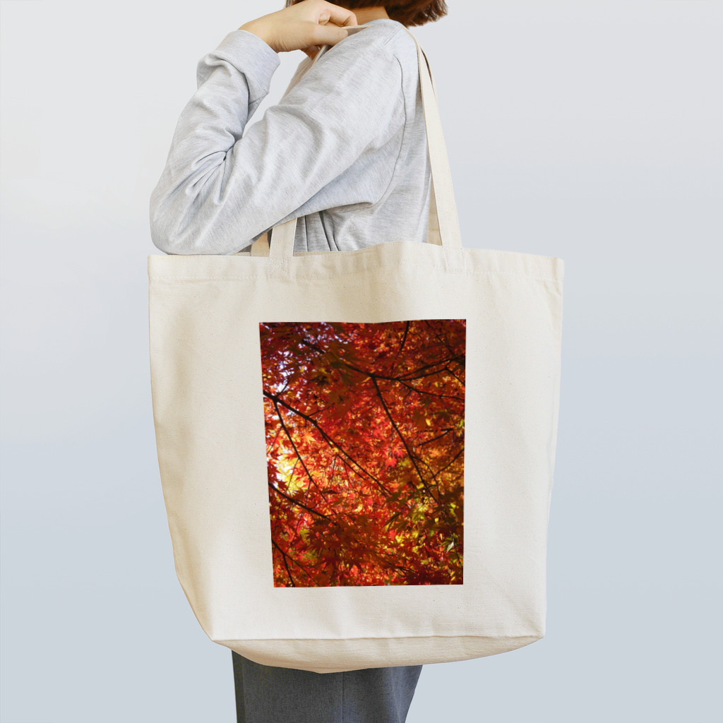 Studio  BLUEの秋〜紅葉〜 Tote Bag