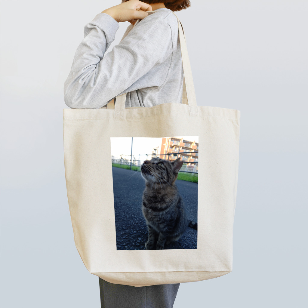 ながしっぽ from.さくらねこの家のとらちゃん　type.Ｂ Tote Bag