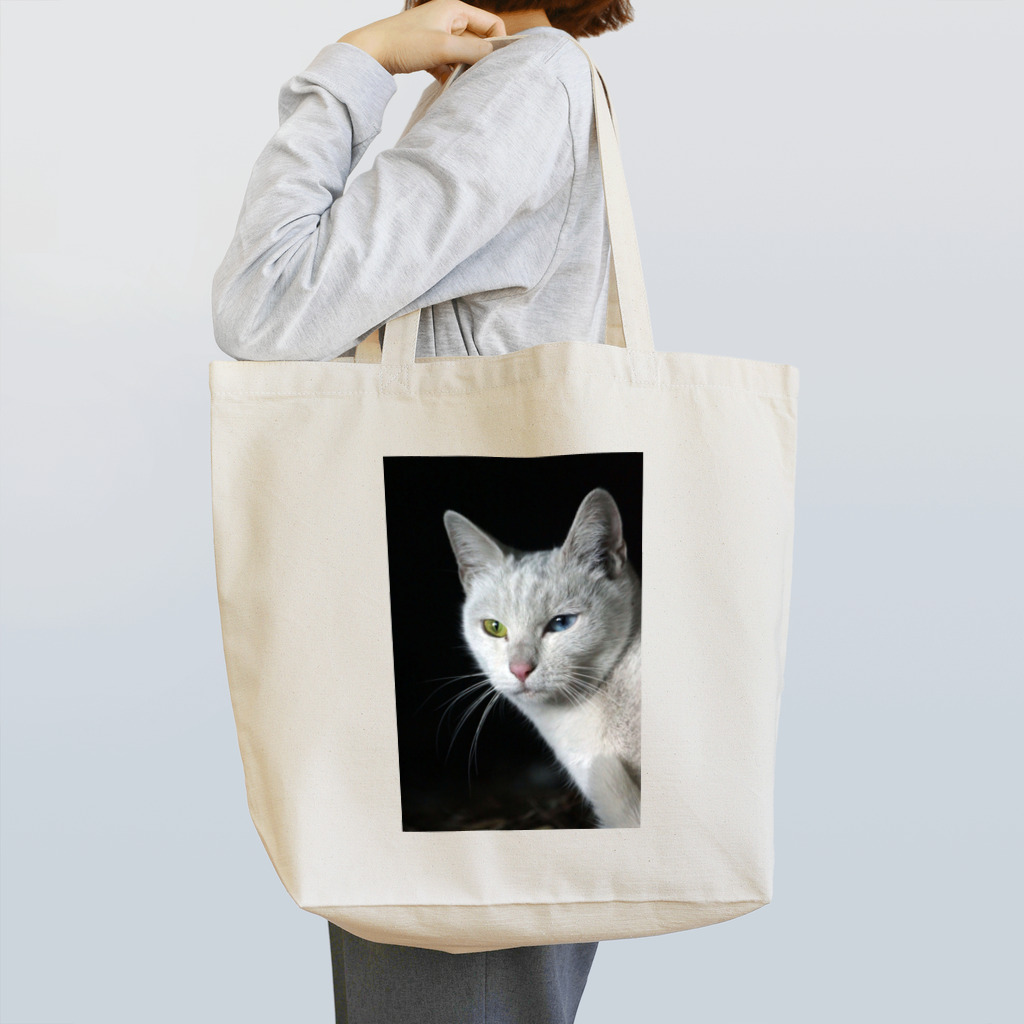 シッポ追いの猫写真店のオッドアイ Tote Bag