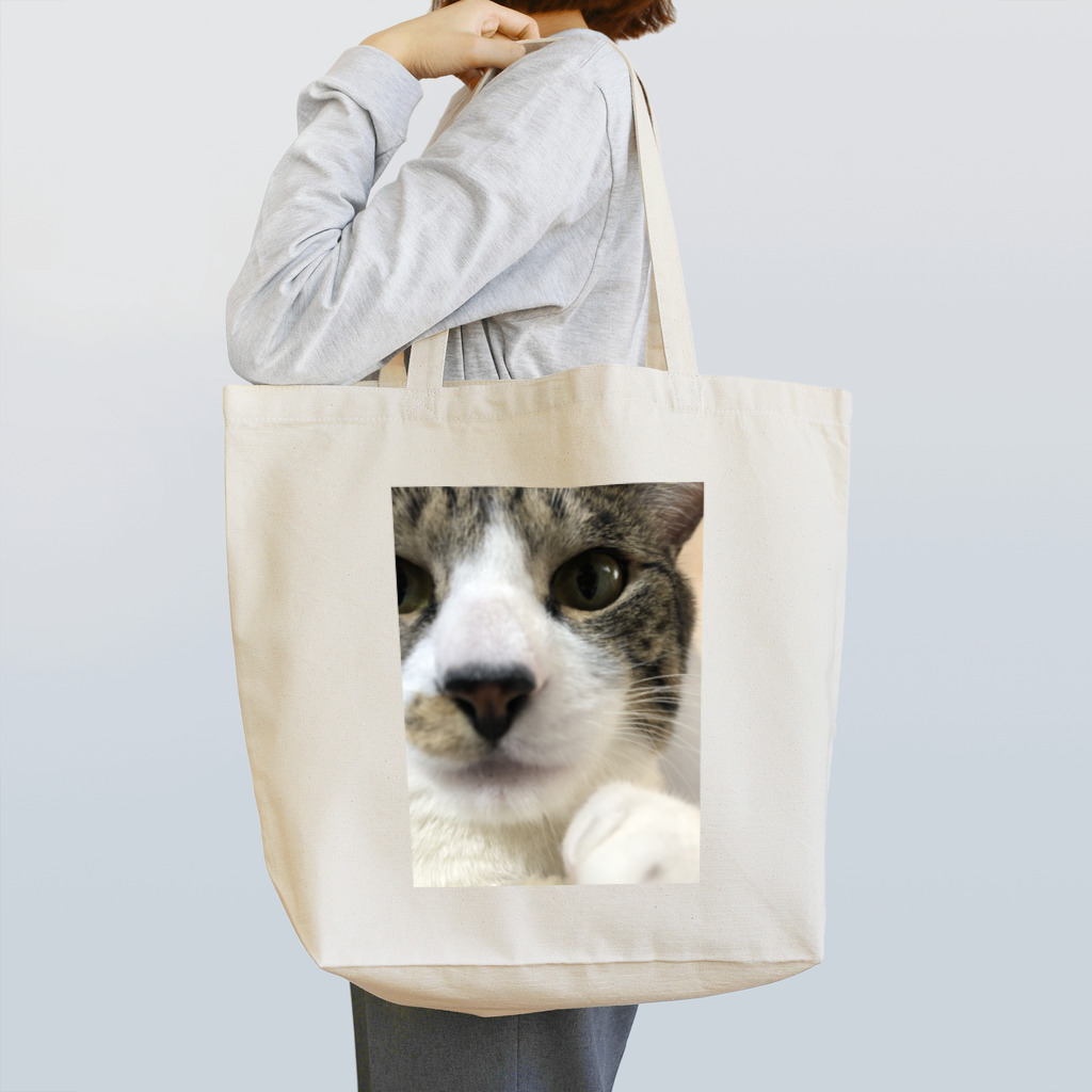 来栖ｱﾂﾑとむーの猫の鰤太郎が見ている Tote Bag