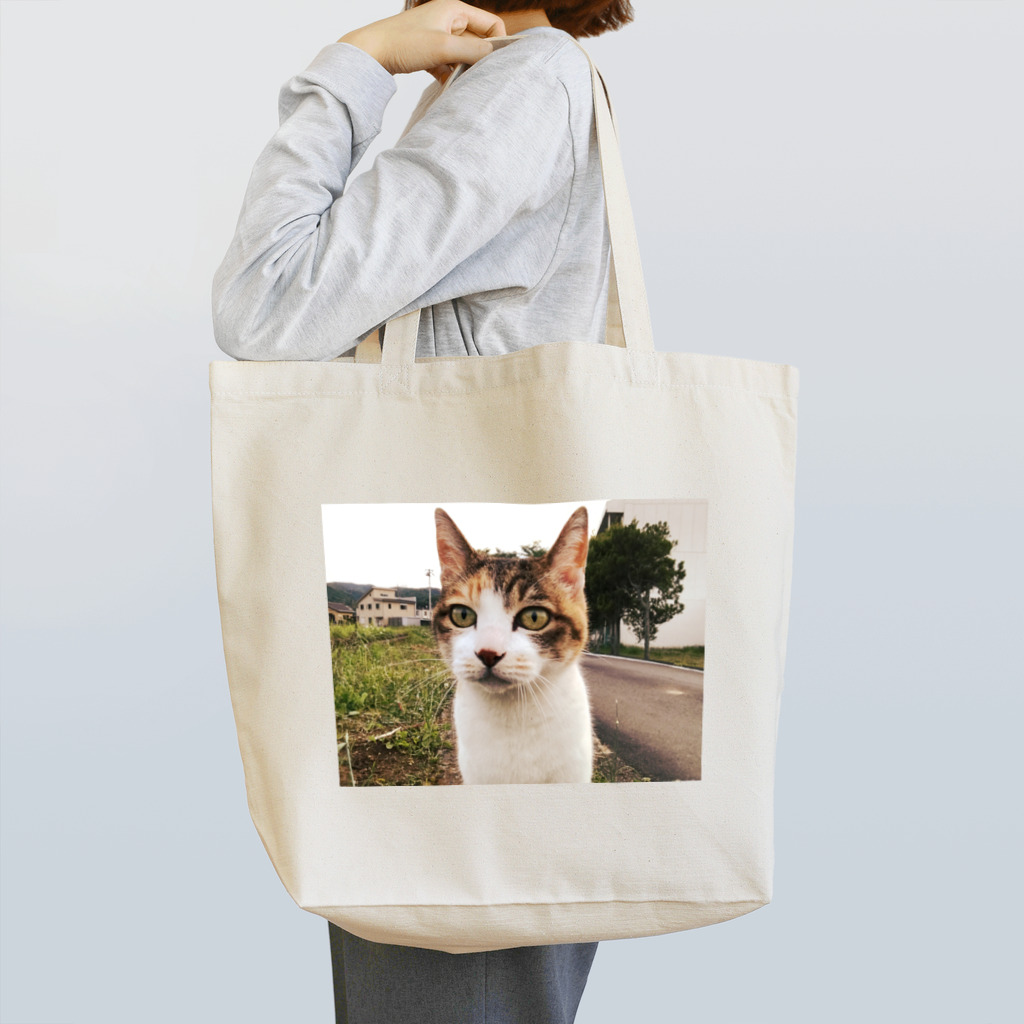 chitaのぬこ Tote Bag