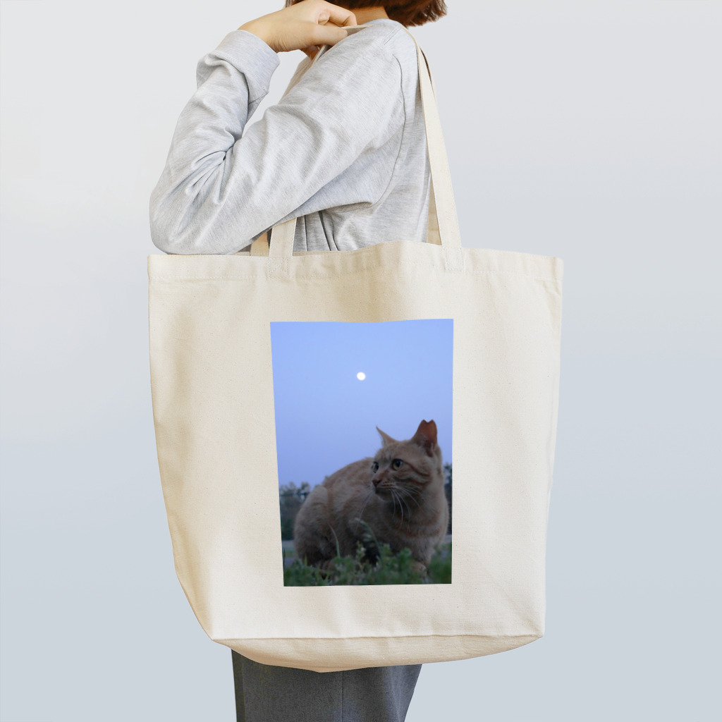 シッポ追いの猫写真店のつきのよるに Tote Bag