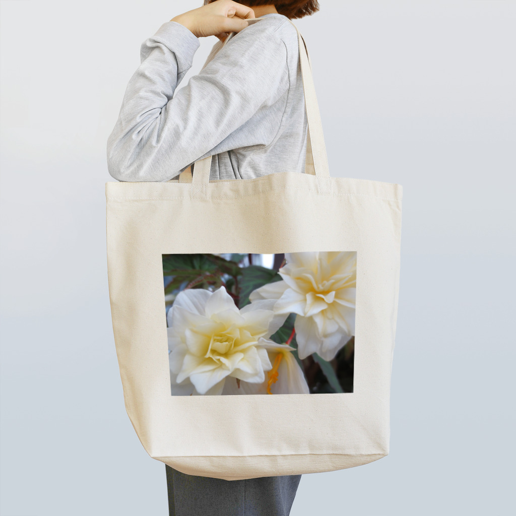 Dreamscape(LUNA)の優しさに触れて・・・ Tote Bag