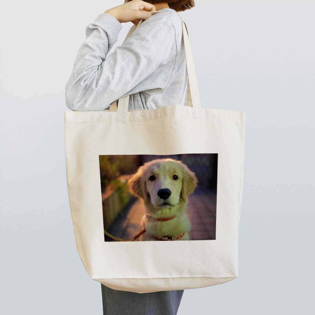 さら【ゴールデンレトリバー】のゴールデンレトリバー・さら Tote Bag