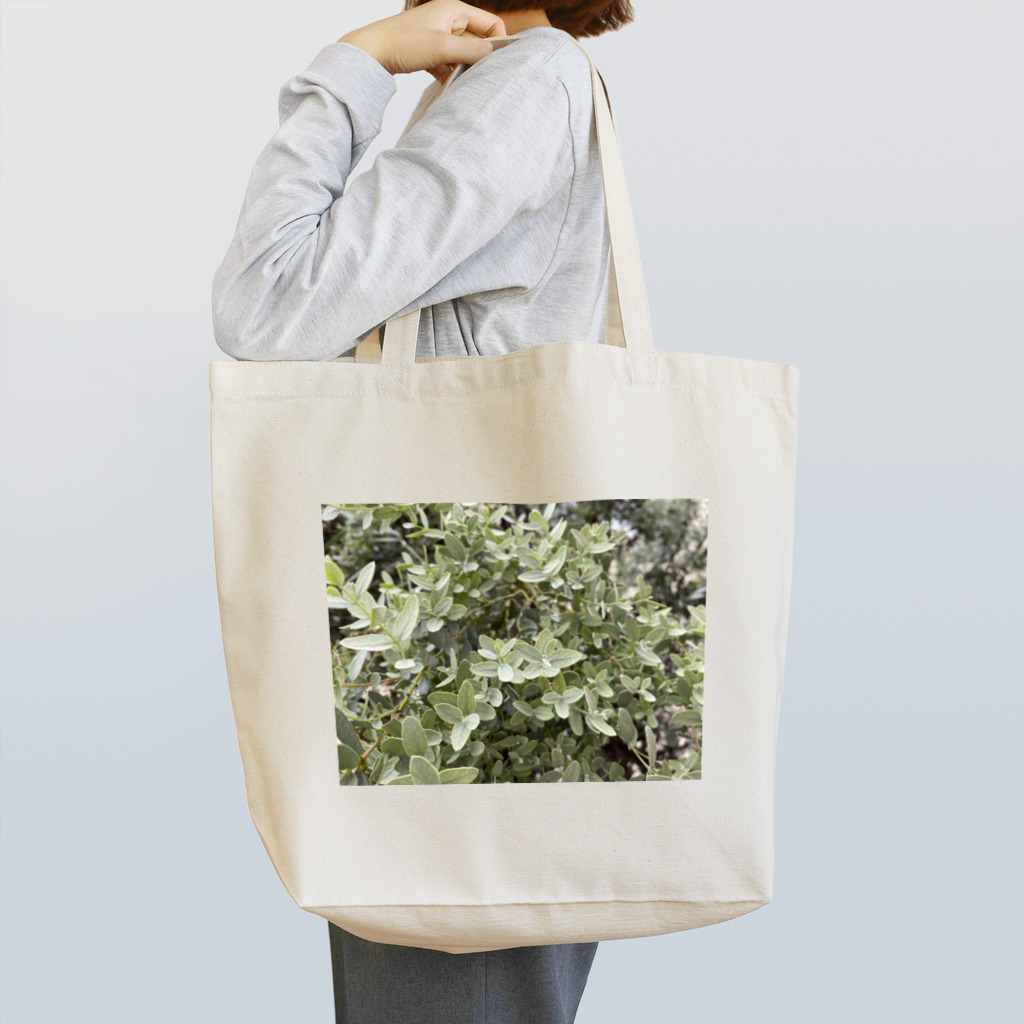 imc-chibiのユーカリ Tote Bag