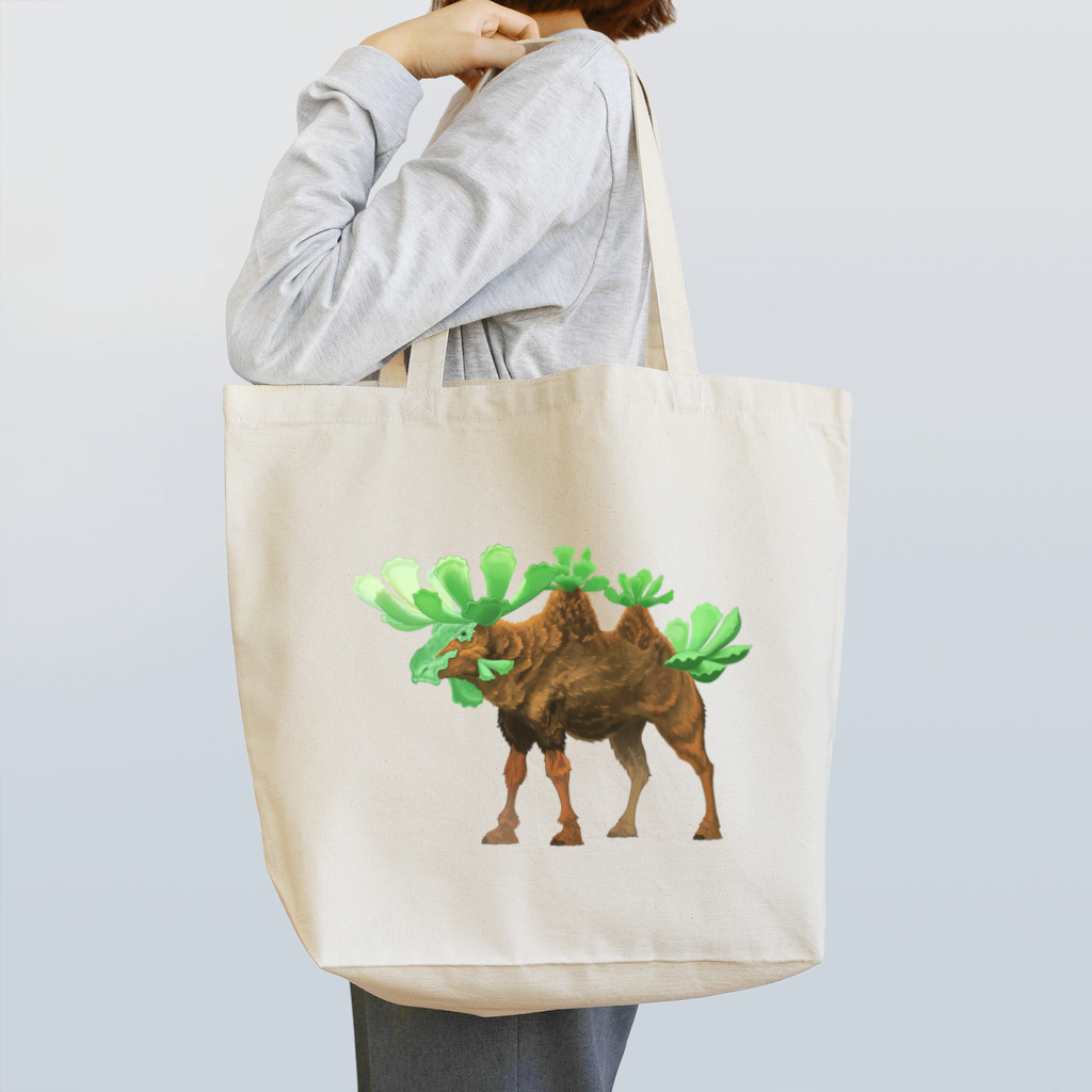 ryochangのアドロミスクス・神想曲 Tote Bag