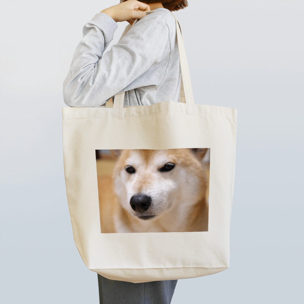 tamanikawaii_shibainuのすまし顔の柴犬♂ トートバッグ