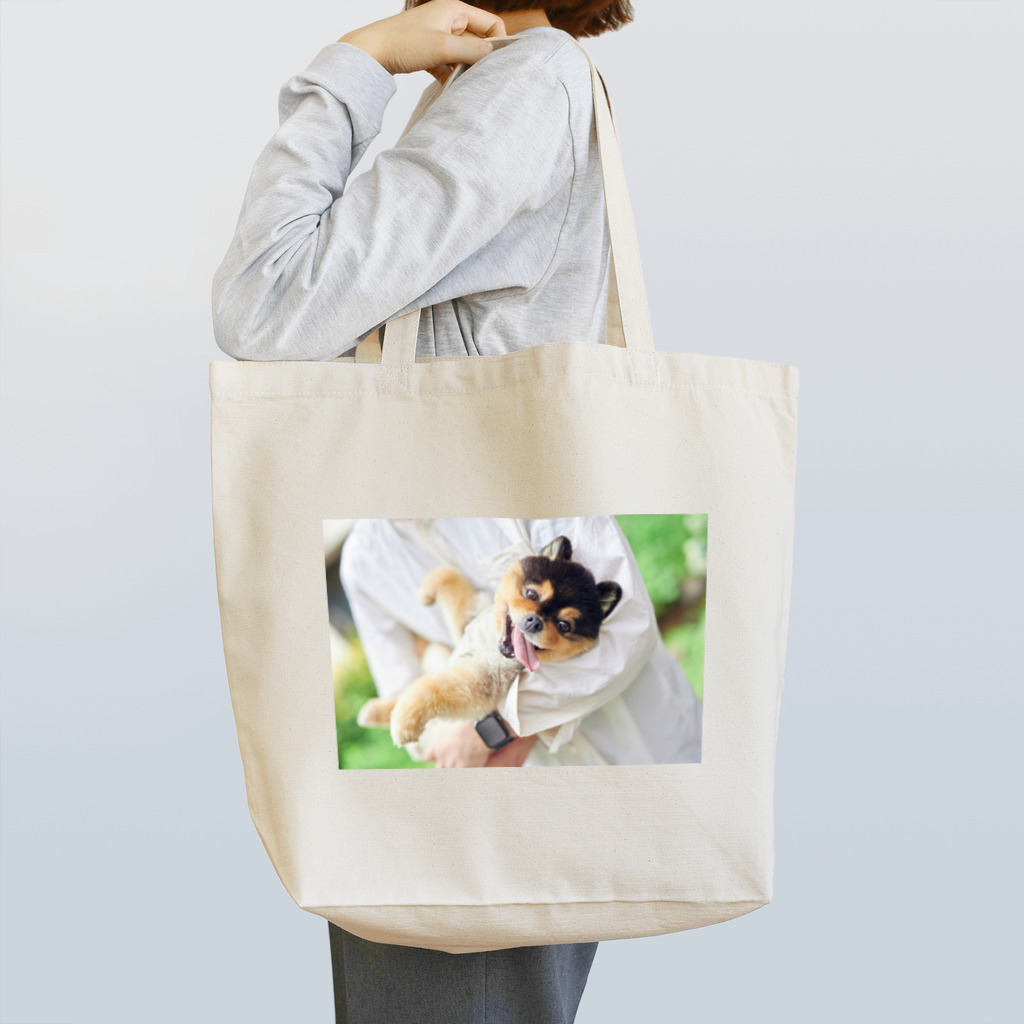 タヌキ似のたろ吉@ポメラニアンの犬 Tote Bag