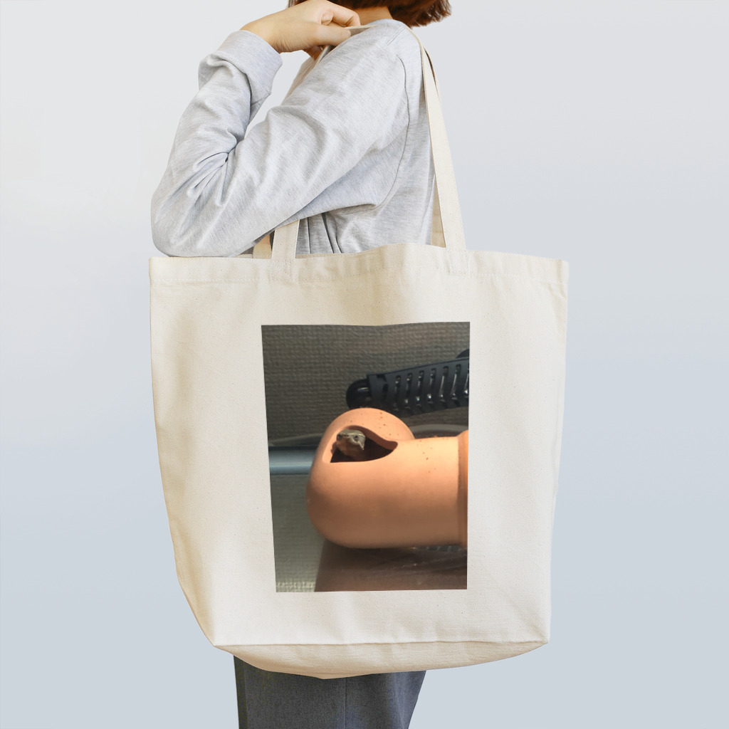 ⭐️ナイト⭐️のコロン（ミシシッピニオイガメ） Tote Bag