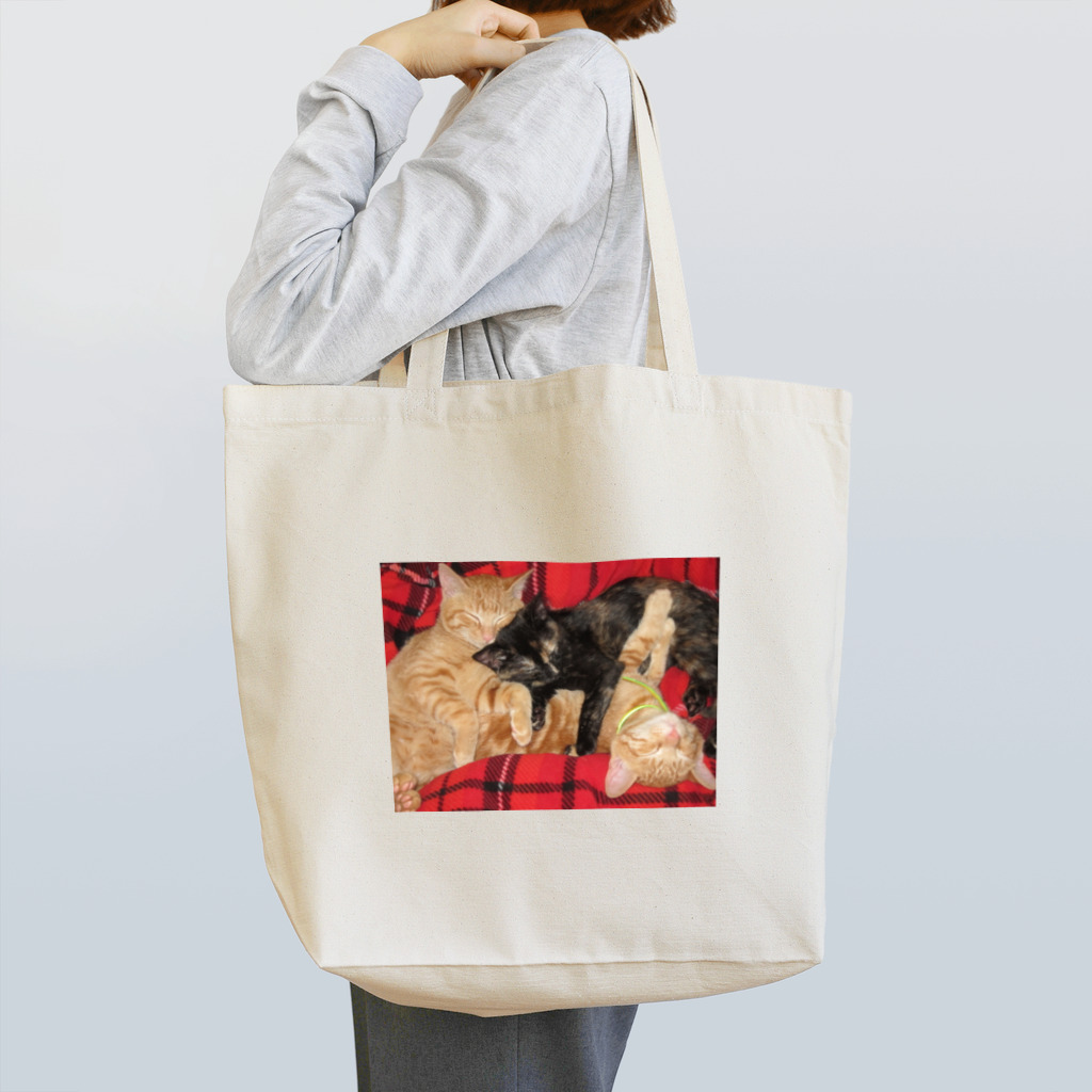 猫充商店の寝るのが仕事　じじとはくとりん Tote Bag