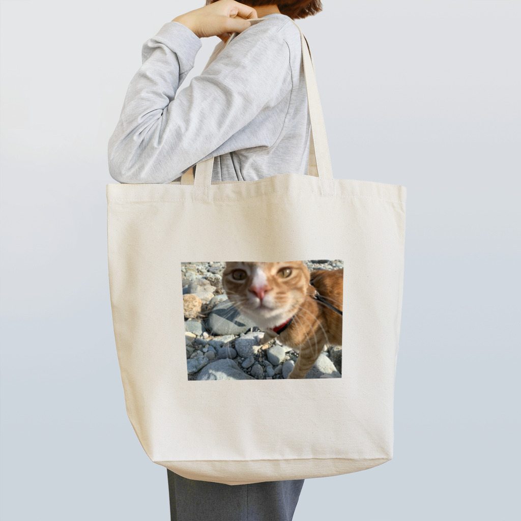 Nyanu-の茶トラねこ 外で散歩 トートバッグ Tote Bag