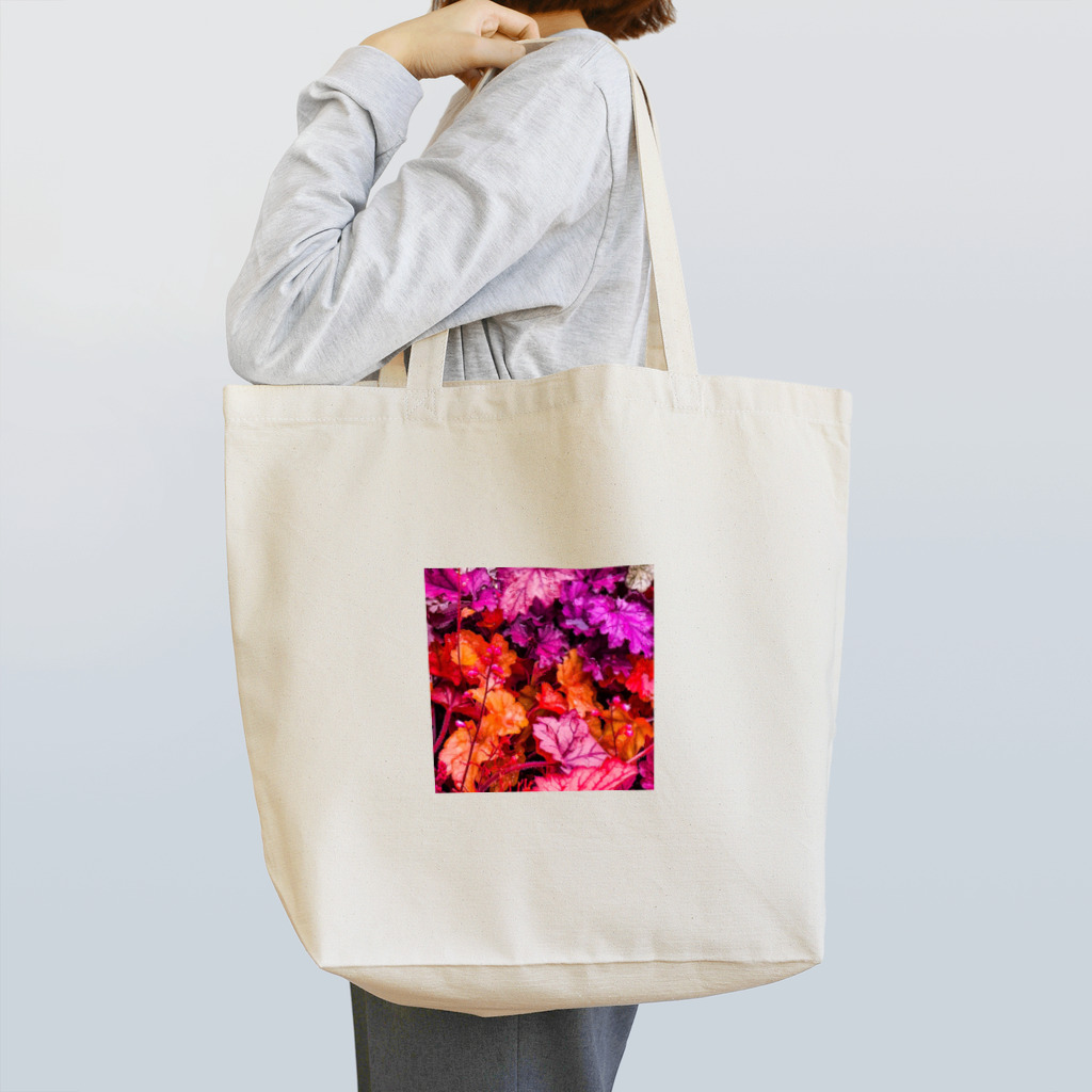 D井の 極彩      Tote Bag