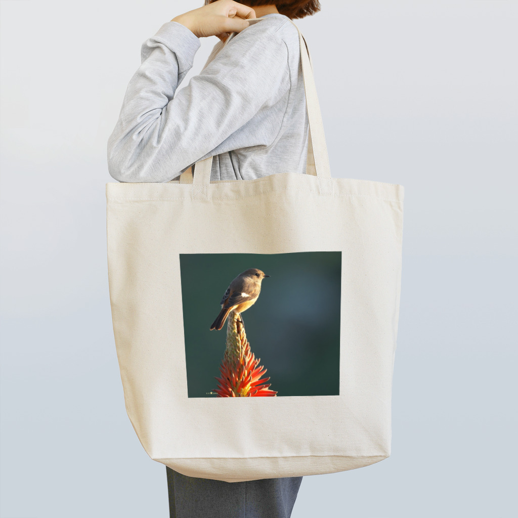 Kumimaro Shopのジョウビタキ♀ Tote Bag