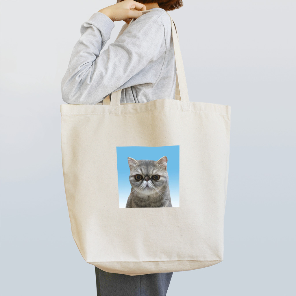 チャンドゥの証明写真 Tote Bag