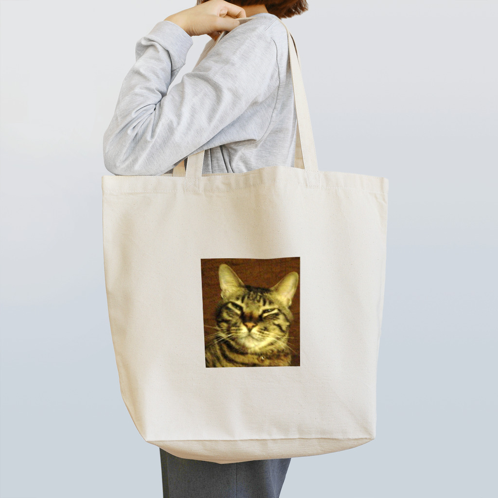 幸せを運ぶ福猫ピー助の幸せを運ぶトラ猫 Tote Bag