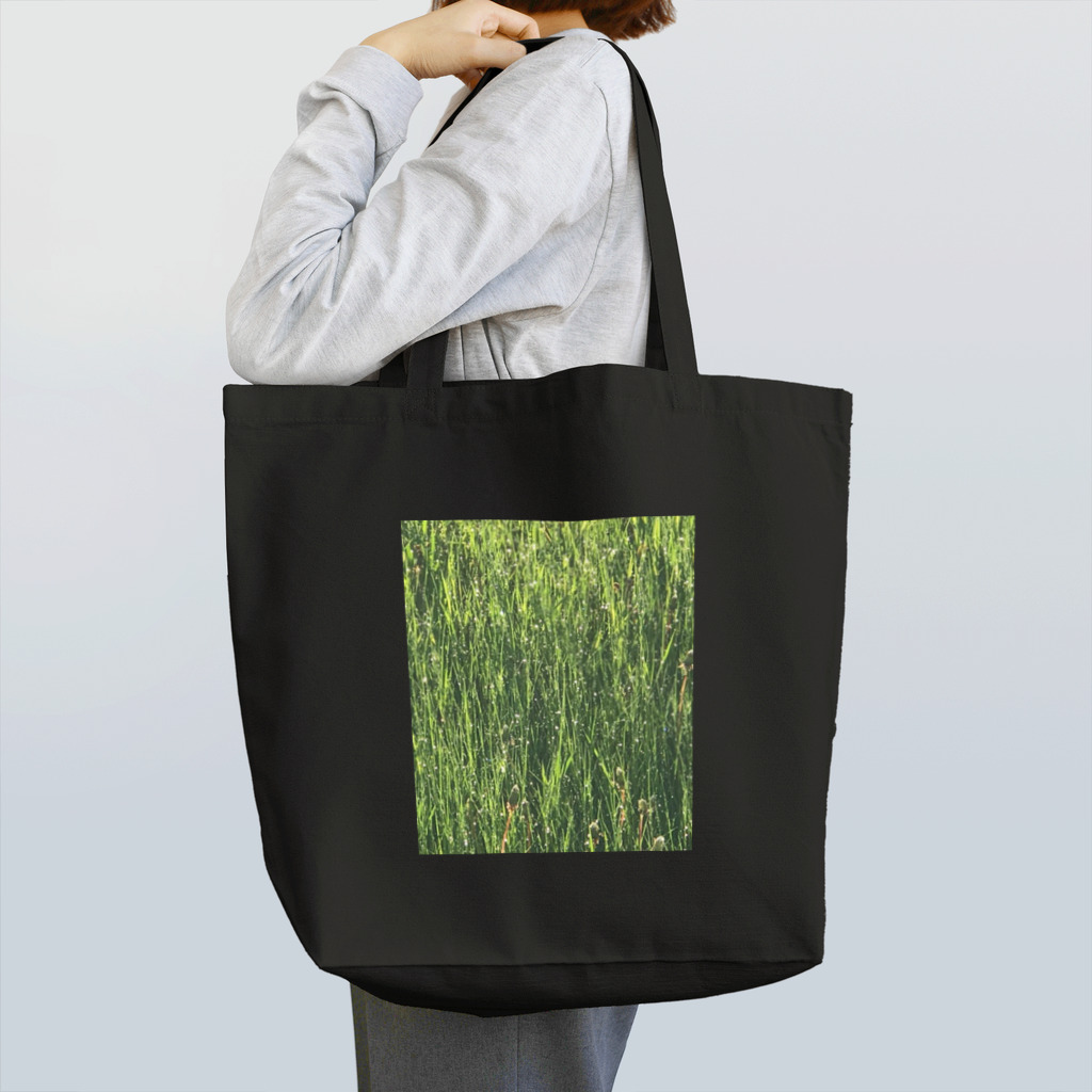 空屋　sorayakusakaの201905291758002　雨上がり Tote Bag