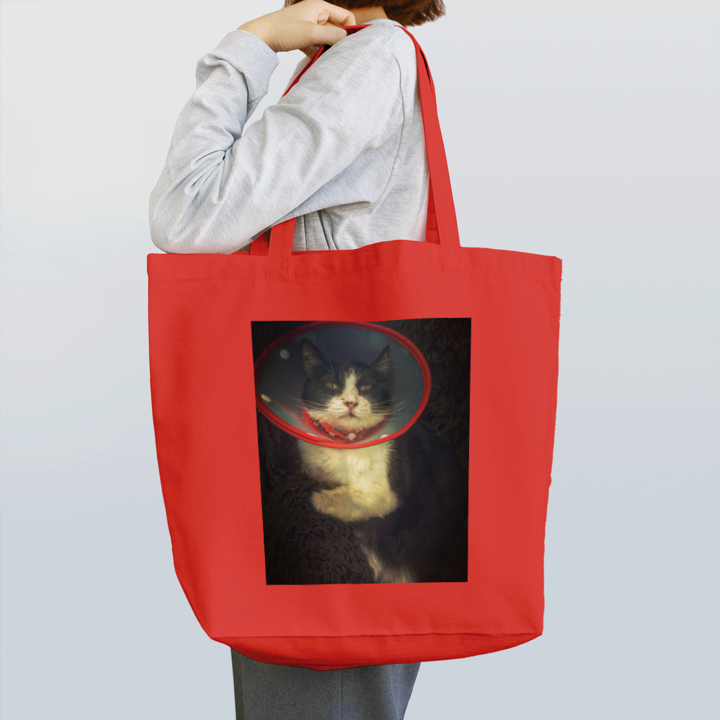 5masのはちわれの威厳 Tote Bag